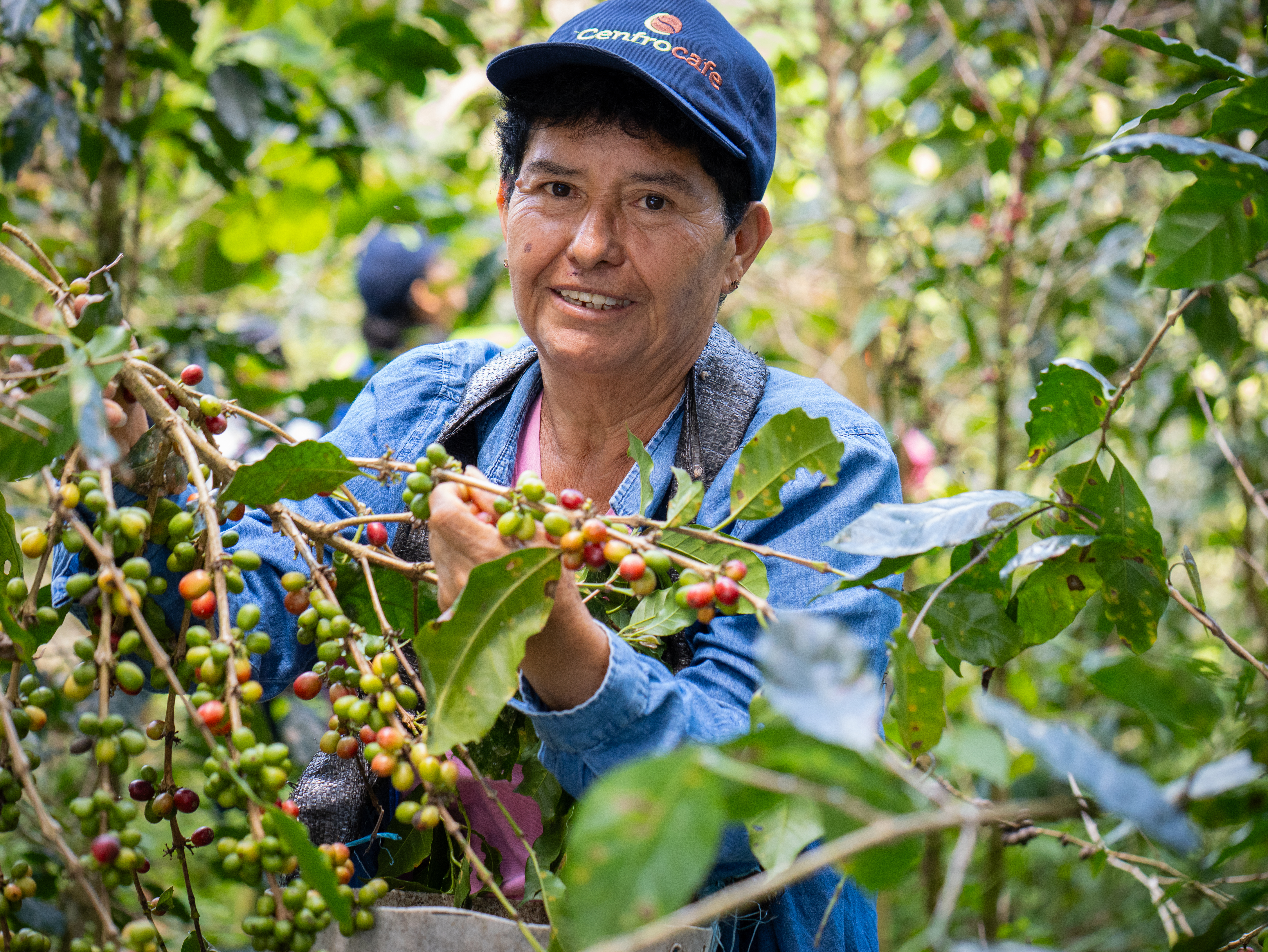 FILTERKAFFEE - Peru - CENFROCAFE (Warmi Ayni)