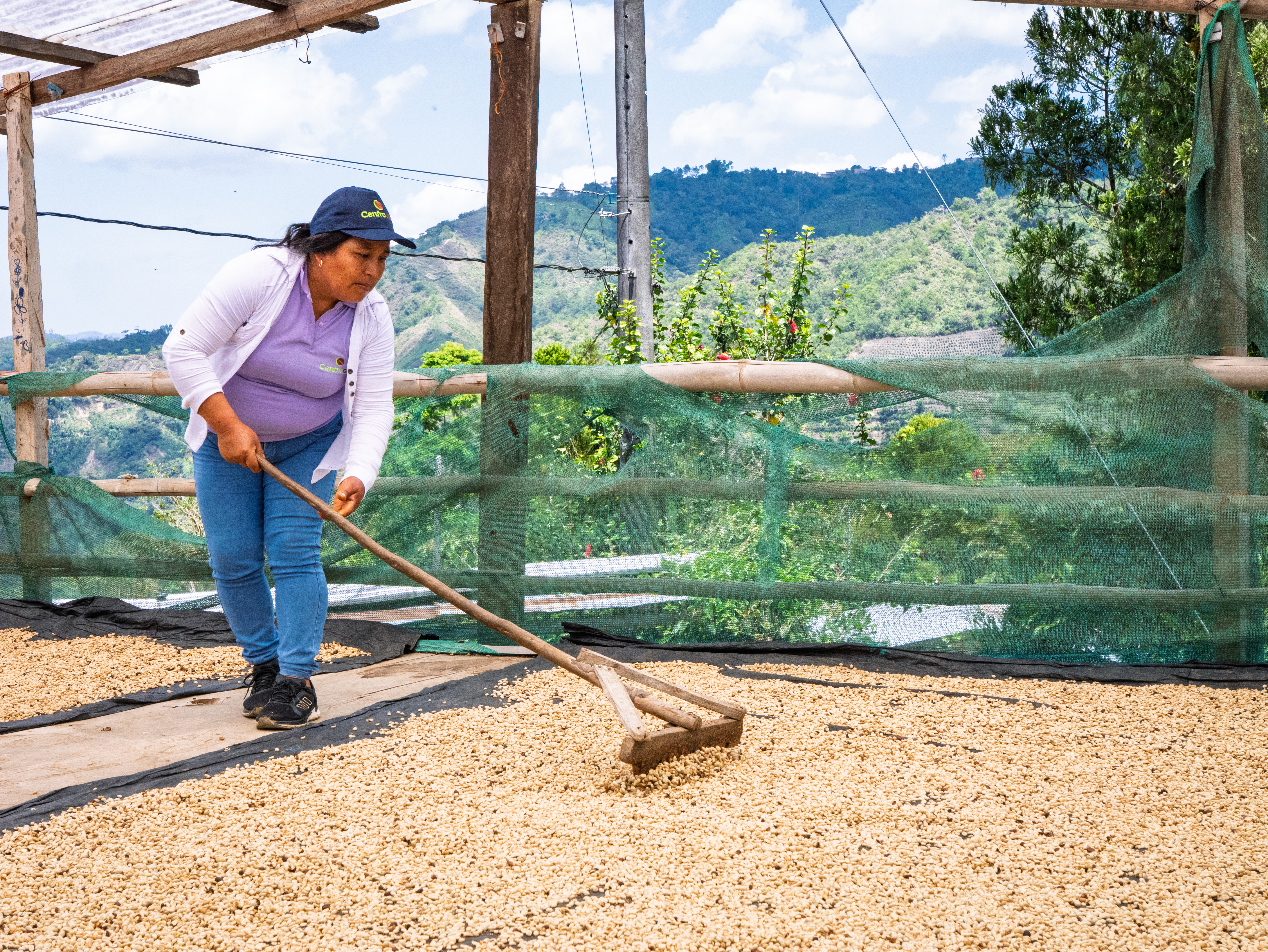 FILTERKAFFEE - Peru - CENFROCAFE (Warmi Ayni)