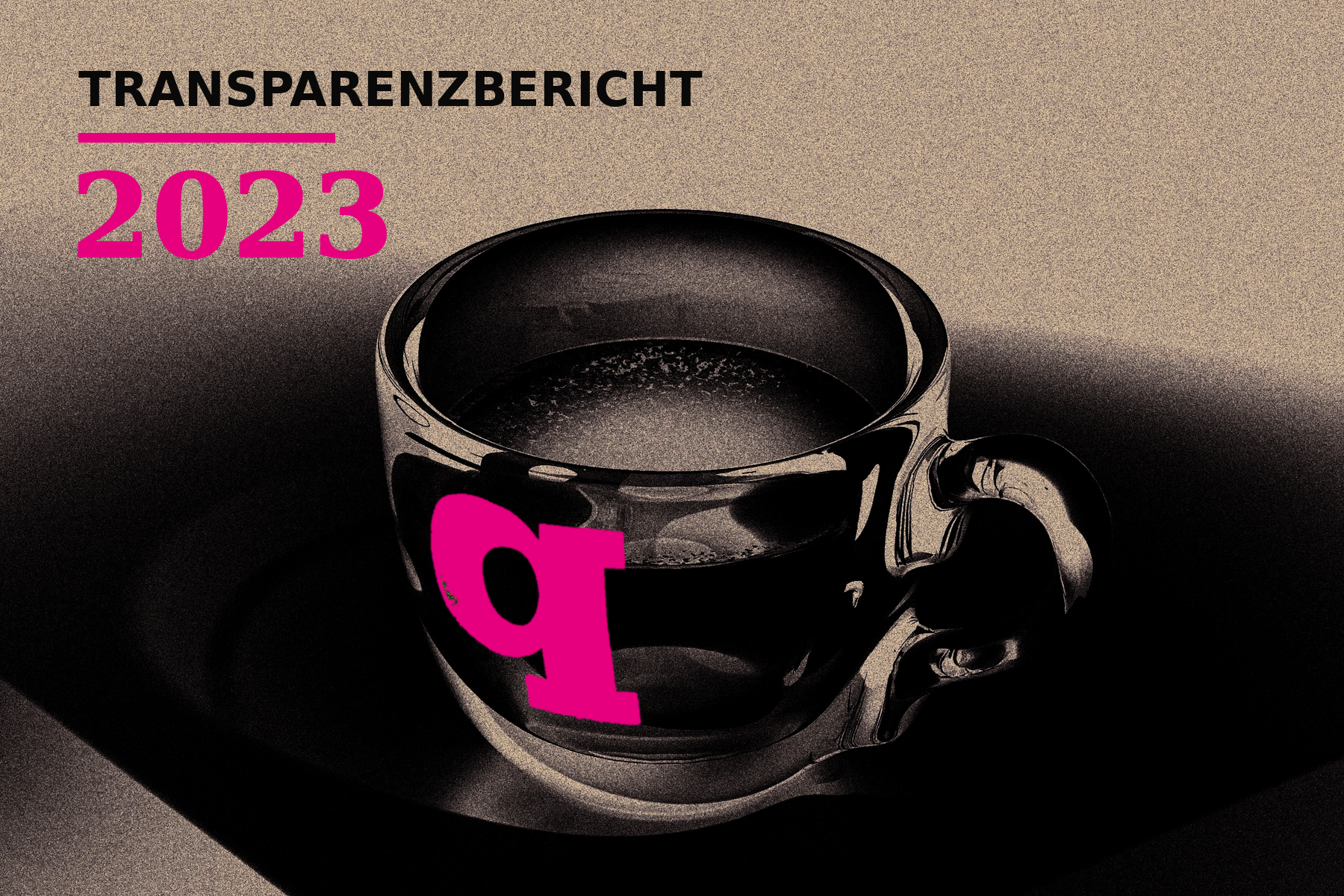 Transparenzbericht 2023